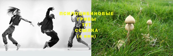 амф Пересвет