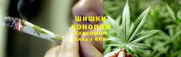 амф Пересвет