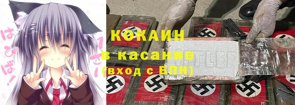 амф Пересвет