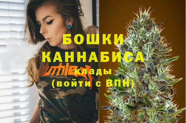 амф Пересвет