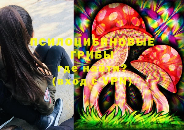 амф Пересвет