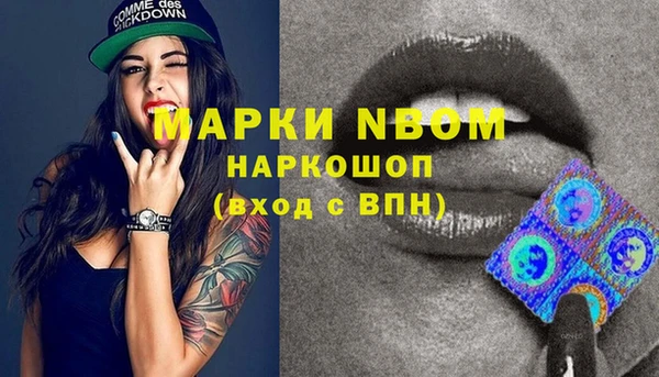 амф Пересвет