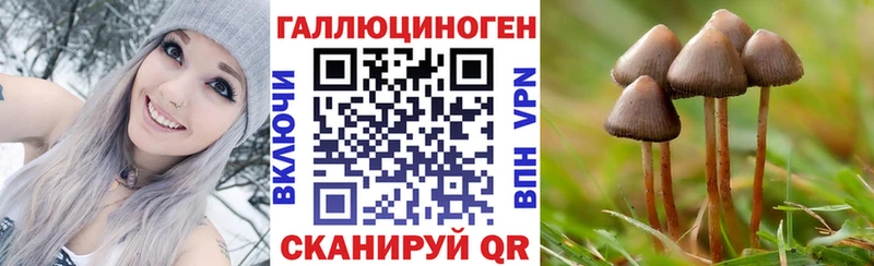 Галлюциногенные грибы мухоморы  Шарья 